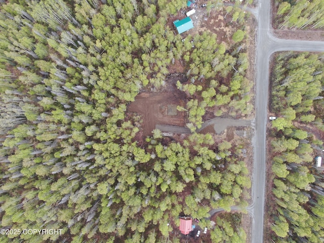 36534 S Long Branch St, Talkeetna, AK 99676