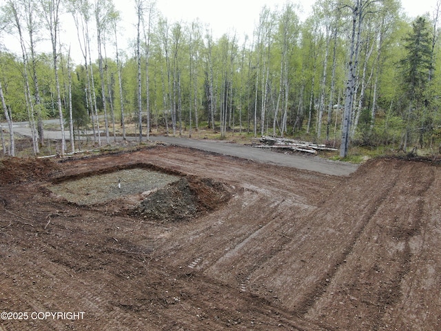 36534 S Long Branch St, Talkeetna, AK 99676