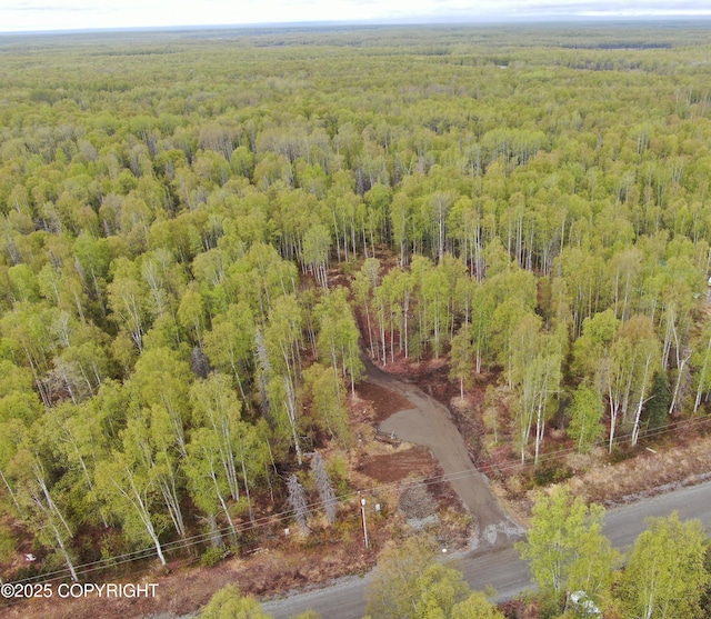 36534 S Long Branch St, Talkeetna, AK 99676