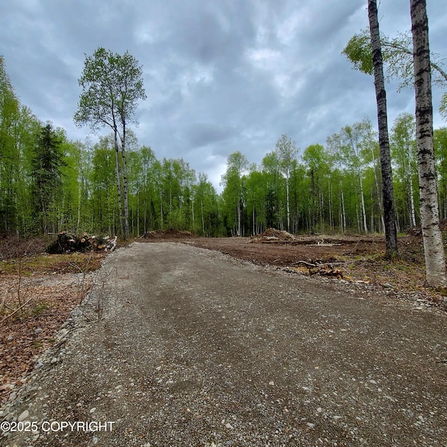 36534 S Long Branch St, Talkeetna, AK 99676