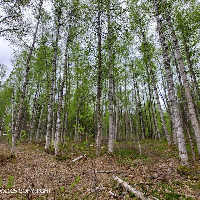 36534 S Long Branch St, Talkeetna, AK 99676