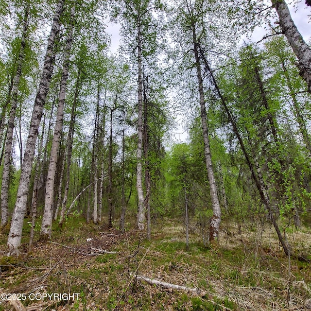 36534 S Long Branch St, Talkeetna, AK 99676
