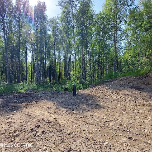 36534 S Long Branch St, Talkeetna, AK 99676