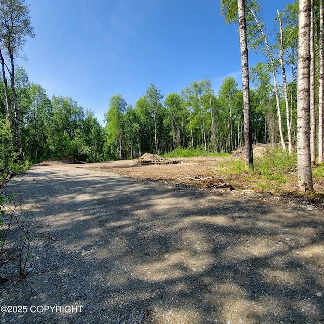 36534 S Long Branch St, Talkeetna, AK 99676