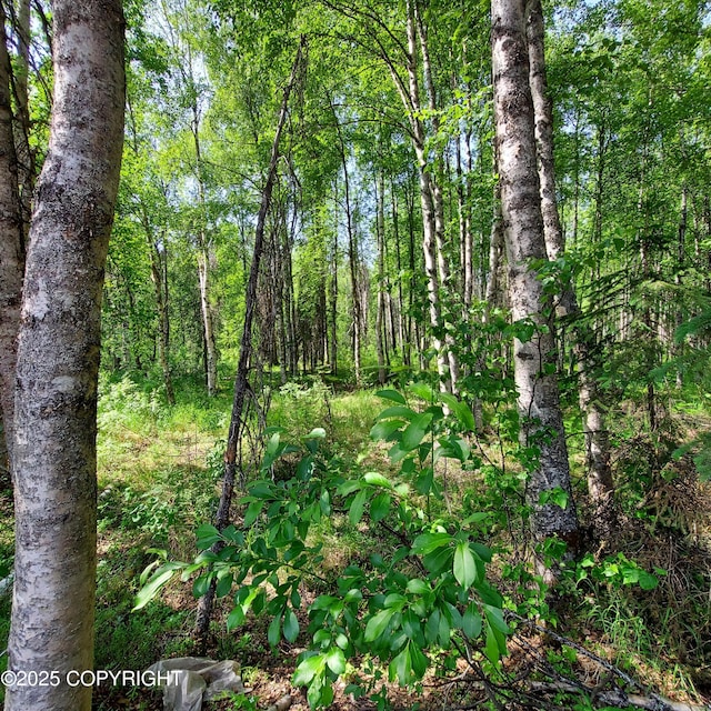 36534 S Long Branch St, Talkeetna, AK 99676