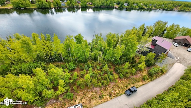 1300 E Brent Pointe Dr, Wasilla, AK 99654