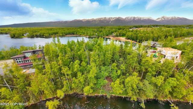 1300 E Brent Pointe Dr, Wasilla, AK 99654