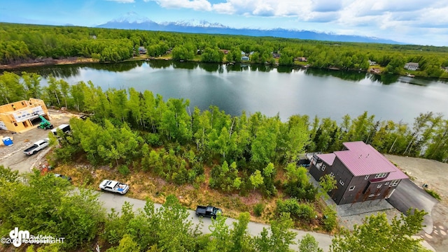 1300 E Brent Pointe Dr, Wasilla, AK 99654