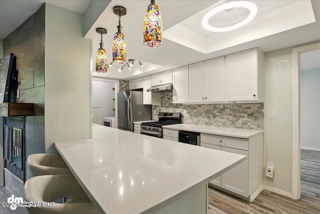 7341 Huntsmen Cir Unit 19C, Anchorage, AK 99518 - kitchen with appliances with stainless steel finishes, a raised ceiling, light wood finished floors, tasteful backsplash, and a peninsula