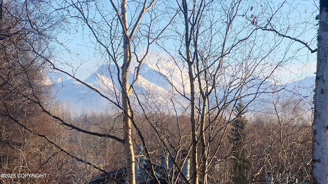7341 Huntsmen Cir Unit 19C, Anchorage, AK 99518 - view of mountain backdrop featuring a forest