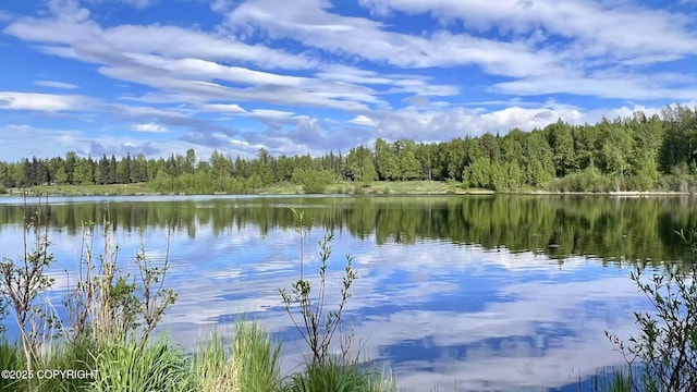 7341 Huntsmen Cir Unit 19C, Anchorage, AK 99518 - water view featuring a forest