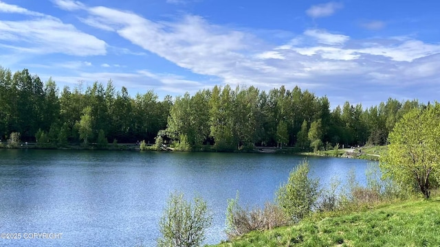 7341 Huntsmen Cir Unit 19C, Anchorage, AK 99518 - water view with a forest