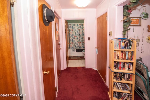 1403 W 34th Ave, Anchorage, AK 99503 - hall with carpet flooring and baseboards