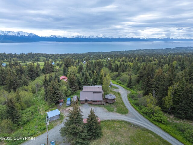 53665 Marimac Ave, Homer, AK 99603
