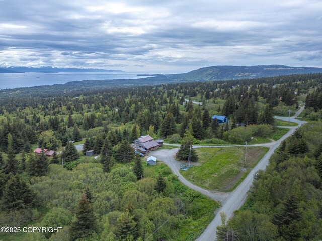 53665 Marimac Ave, Homer, AK 99603