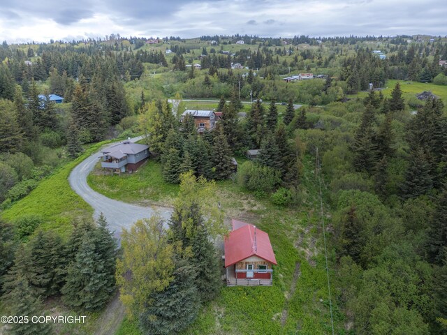 53665 Marimac Ave, Homer, AK 99603