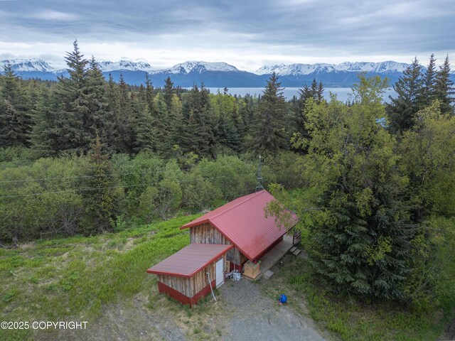 53665 Marimac Ave, Homer, AK 99603