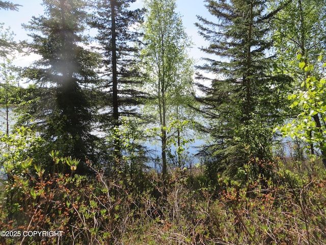 52225 Sterling Hwy, Kasilof, AK 99610