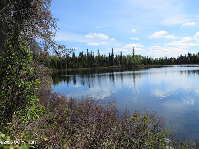 52225 Sterling Hwy, Kasilof, AK 99610