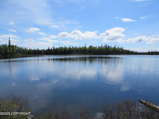 52225 Sterling Hwy, Kasilof, AK 99610