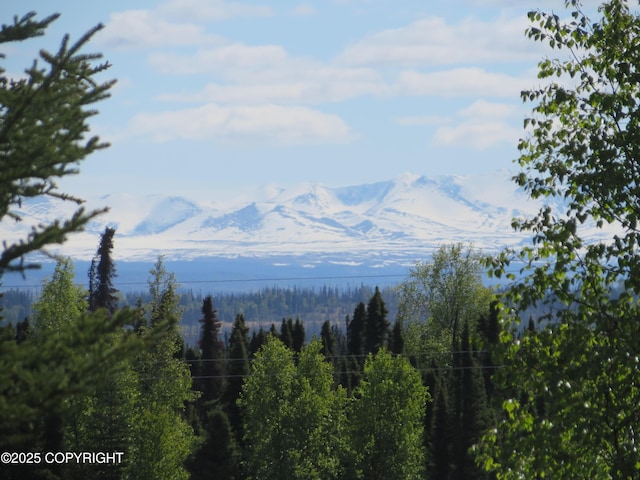 52225 Sterling Hwy, Kasilof, AK 99610