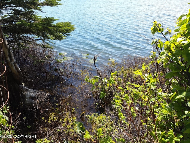 52225 Sterling Hwy, Kasilof, AK 99610 - photo 10