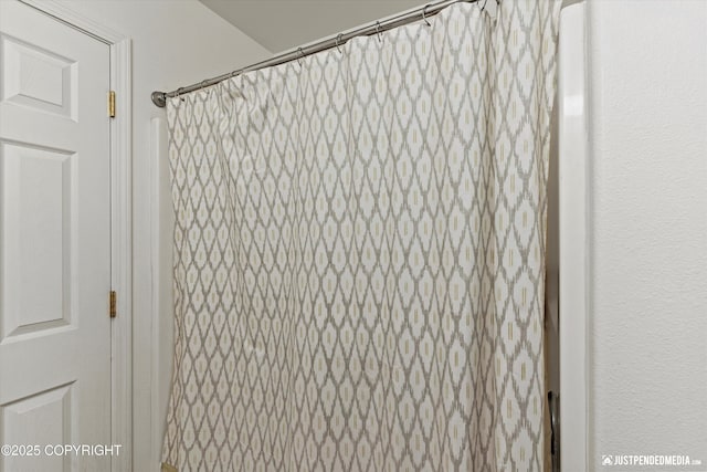 2266 Brookshire Loop, Anchorage, AK 99504 - bathroom view of curtained shower