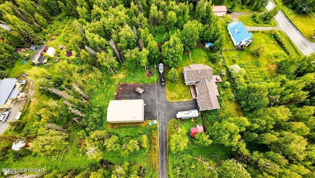 655 N Smith Rd, Palmer, AK 99645 - bird's eye view