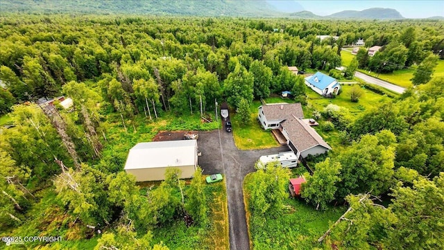 655 N Smith Rd, Palmer, AK 99645 - aerial view of a forest