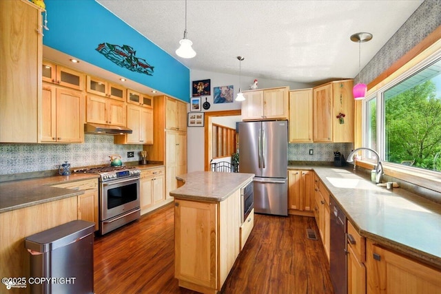 655 N Smith Rd, Palmer, AK 99645 - kitchen featuring appliances with stainless steel finishes, under cabinet range hood, a sink, lofted ceiling, and light brown cabinetry