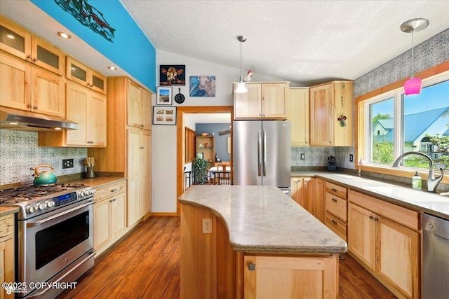 655 N Smith Rd, Palmer, AK 99645 - kitchen featuring appliances with stainless steel finishes, under cabinet range hood, a sink, light brown cabinets, and vaulted ceiling