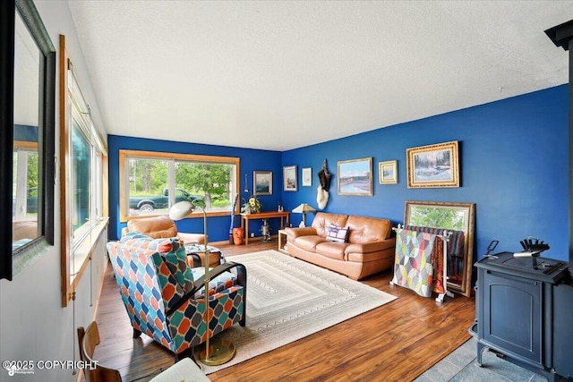 655 N Smith Rd, Palmer, AK 99645 - living room featuring a textured ceiling and wood finished floors