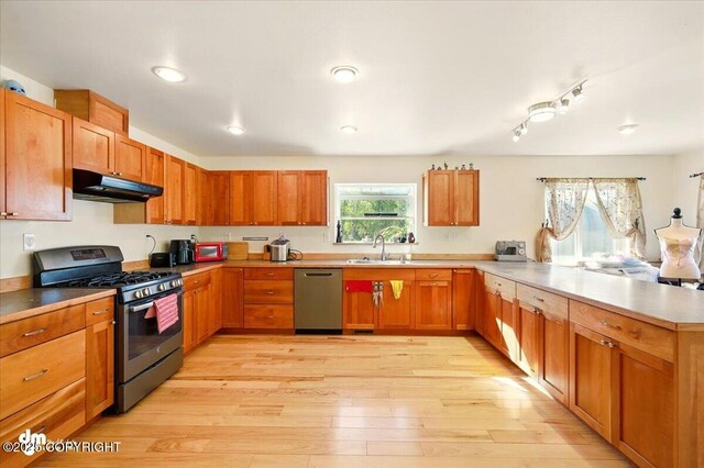 4588 Gold Mint Dr, Wasilla, AK 99654 - kitchen featuring appliances with stainless steel finishes, under cabinet range hood, a peninsula, light wood-style floors, and a sink