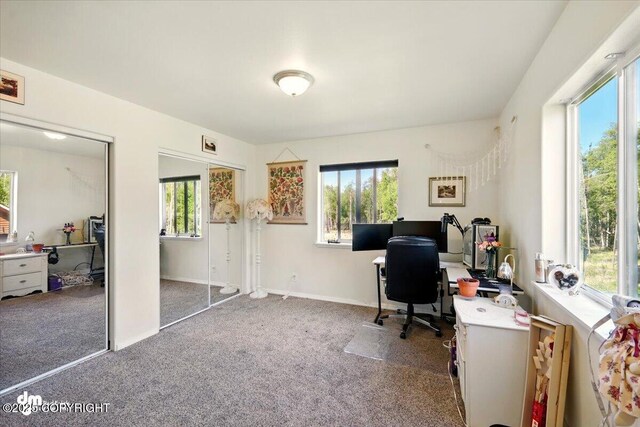 4588 Gold Mint Dr, Wasilla, AK 99654 - office space with carpet and healthy amount of natural light