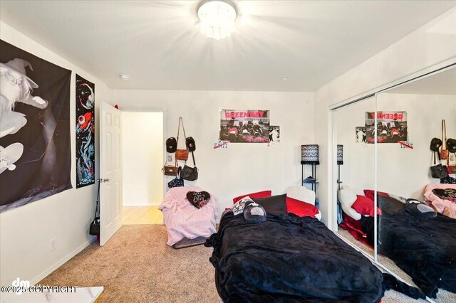 4588 Gold Mint Dr, Wasilla, AK 99654 - carpeted bedroom featuring a closet