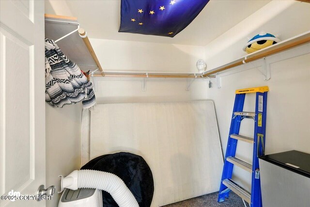4588 Gold Mint Dr, Wasilla, AK 99654 - view of walk in closet