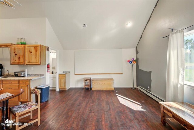 4588 Gold Mint Dr, Wasilla, AK 99654 - kitchen featuring baseboard heating, vaulted ceiling, dark wood-style floors, light countertops, and a sink