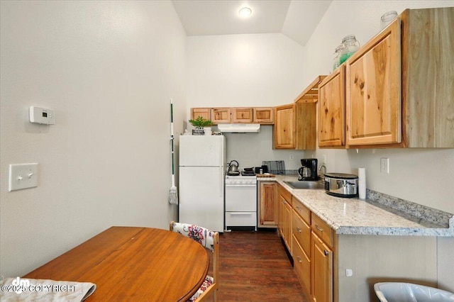 4588 Gold Mint Dr, Wasilla, AK 99654 - kitchen featuring white appliances, dark wood-type flooring, a sink, and under cabinet range hood