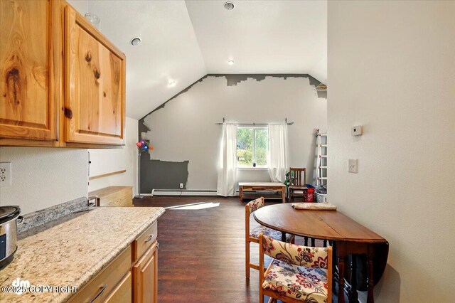 4588 Gold Mint Dr, Wasilla, AK 99654 - kitchen featuring dark wood-type flooring, vaulted ceiling, and a baseboard heating unit