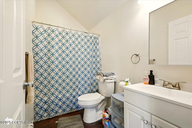 4588 Gold Mint Dr, Wasilla, AK 99654 - full bathroom featuring vanity, toilet, and vaulted ceiling