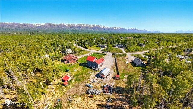4588 Gold Mint Dr, Wasilla, AK 99654 - aerial view of a forest and mountains