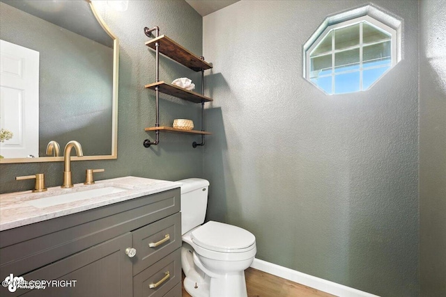 2213 N Tabasco Cat Dr, Palmer, AK 99645 - bathroom featuring wood finished floors, vanity, and a textured wall