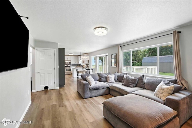 2213 N Tabasco Cat Dr, Palmer, AK 99645 - living room featuring light wood-type flooring and a textured ceiling