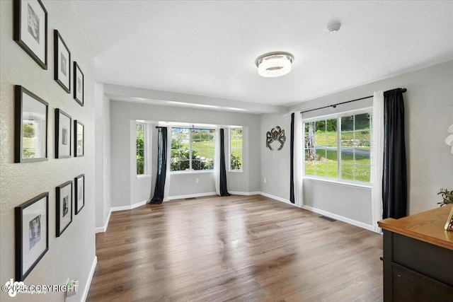 2213 N Tabasco Cat Dr, Palmer, AK 99645 - unfurnished living room with wood finished floors