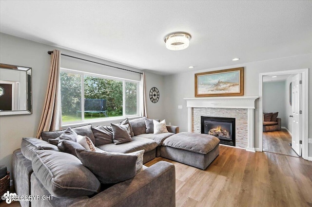 2213 N Tabasco Cat Dr, Palmer, AK 99645 - living area featuring wood finished floors, a glass covered fireplace, and recessed lighting