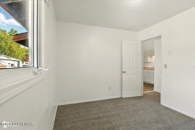 310 Bolin St, Anchorage, AK 99504 - photo 12