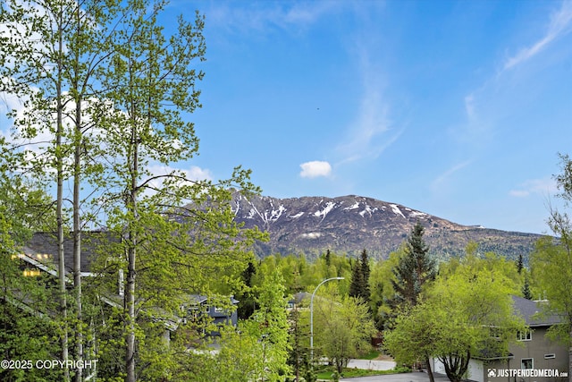 10931 Adanak Cir, Eagle River, AK 99577 - mountain view