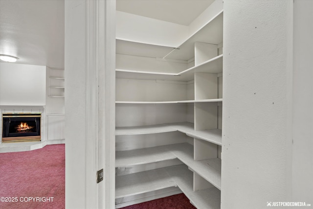 10931 Adanak Cir, Eagle River, AK 99577 - view of pantry