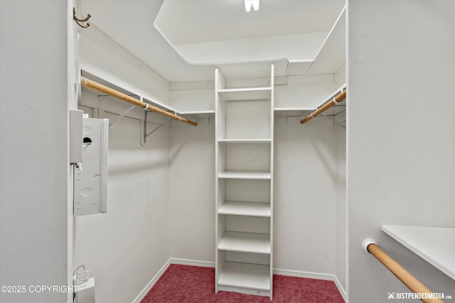 10931 Adanak Cir, Eagle River, AK 99577 - walk in closet featuring carpet floors