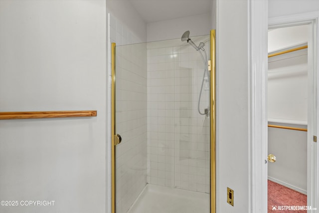 10931 Adanak Cir, Eagle River, AK 99577 - bathroom with a shower stall and a spacious closet